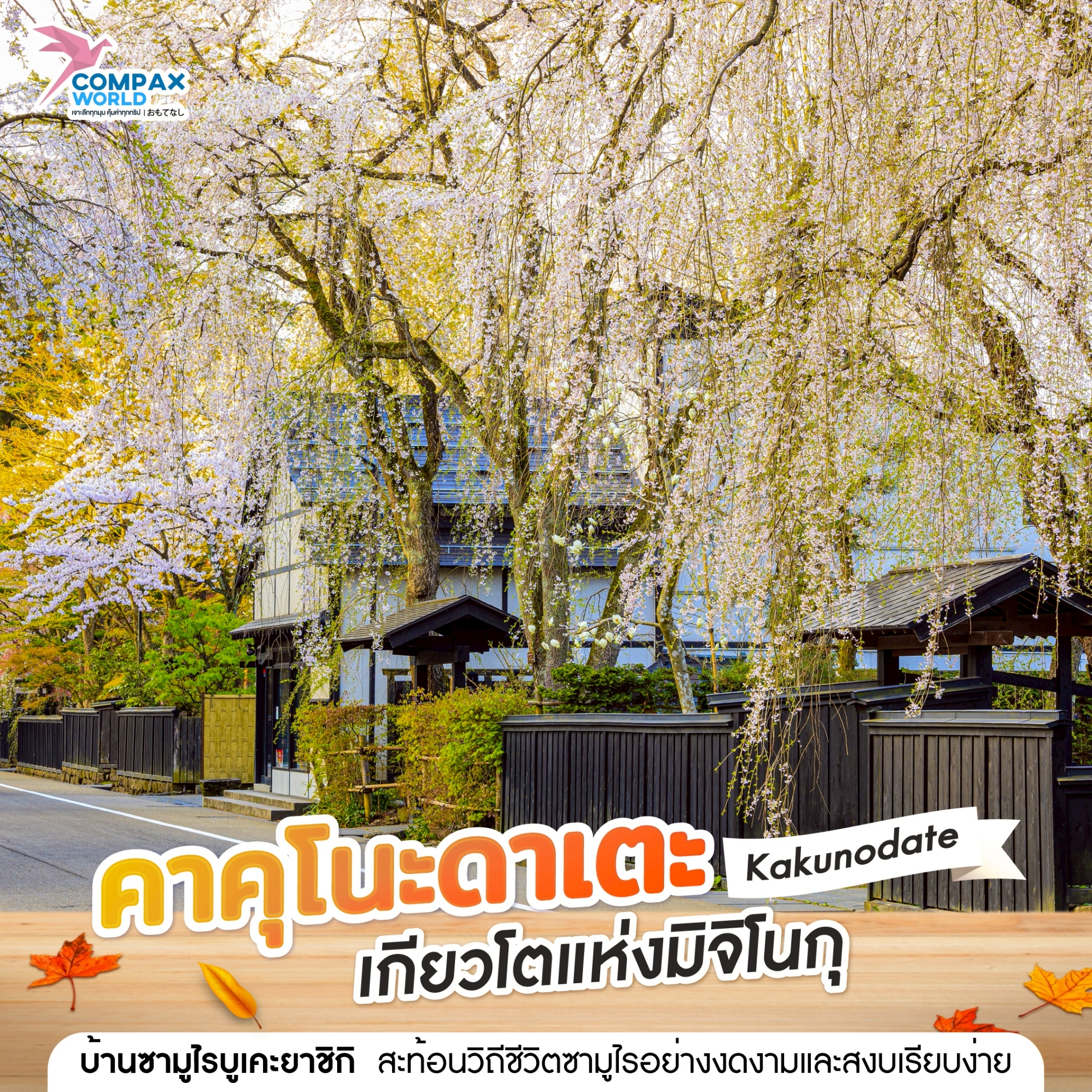compaxworld ทัวร์ญี่ปุ่นพรีเมี่ยม โปรแกรมเที่ยวญี่ปุ่น